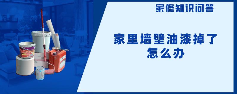 家里墙壁油漆掉了怎么办