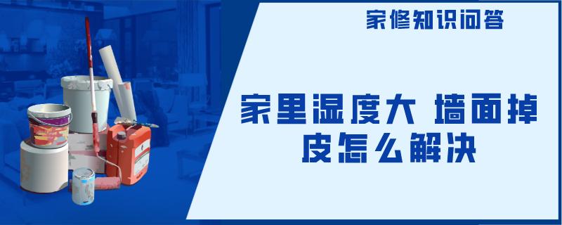 家里湿度大 墙面掉皮怎么解决