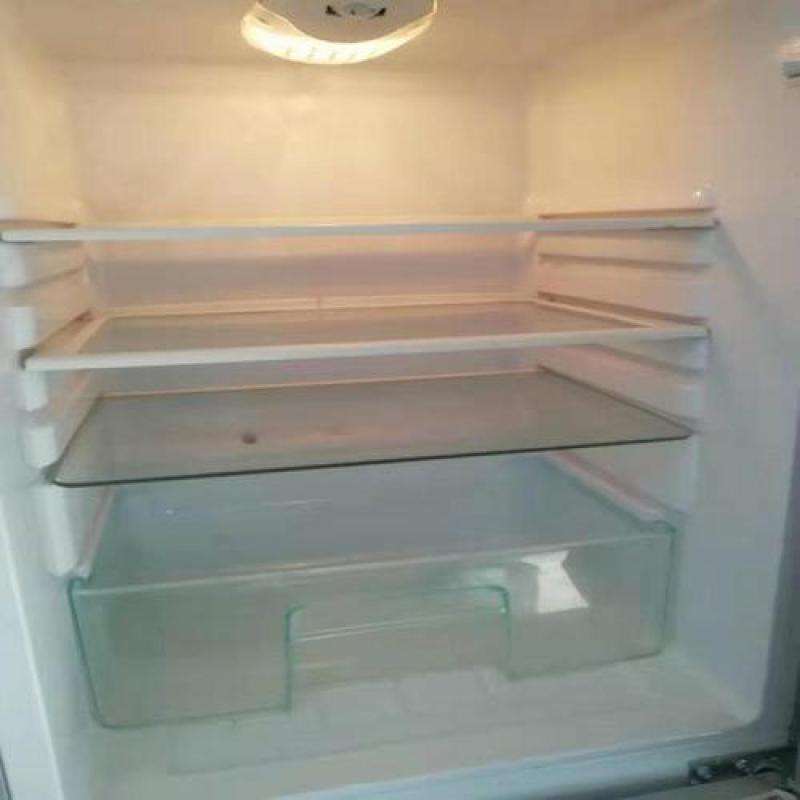 家电清洗-常用家电-冰箱清洗